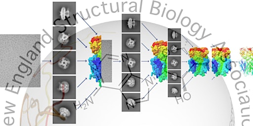 Hauptbild für New England Structural Biology CryoEM mini symposia