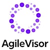 Logo de AgileVisor B.V.