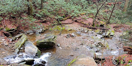 Imagem principal do evento Spring Hike at Kellys Run Nature Preserve