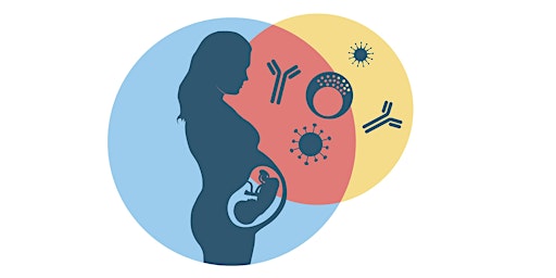 Primaire afbeelding van "Immunity in pregnancy and in early life ─ lifelong impact on health"
