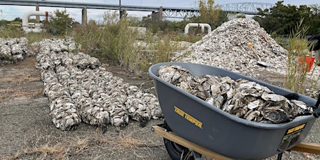 Volunteer Shell Bagging Event-May 18th-Philadelphia primary image