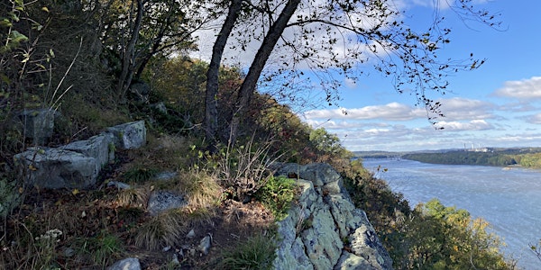 Explore Robert A. Kinsley Nature Preserve (formerly known as Hellam Hills)