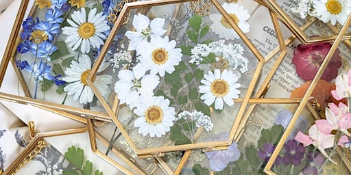 Immagine principale di Pressed Flower Hanging Frames 