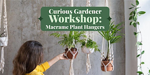 Imagem principal do evento Curious Gardener Workshop: Macrame Plant Hanger Workshop