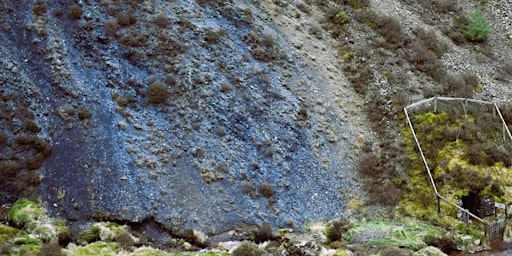 Image principale de The Merlin Trail