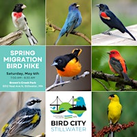 Spring Migration Bird Hike  primärbild