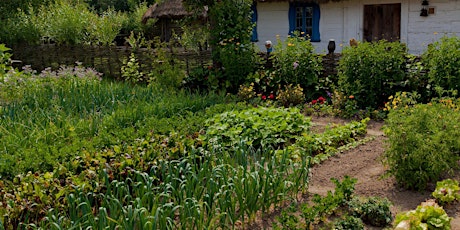 Introduction to Permaculture Design