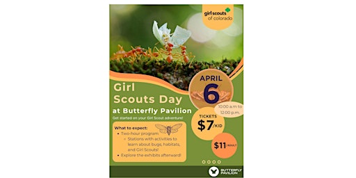 Imagen principal de Girl Scout Day at Butterfly Pavilion