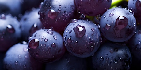 Image principale de Grape Spotlight: Poetic and Profound Pinot Noir