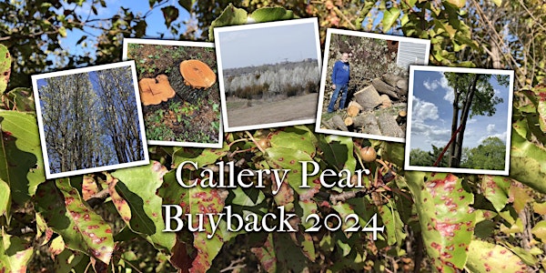 Callery Pear Buyback/Recall Event - Topeka, KS
