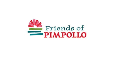 Friends of Pimpollo Cinco de Mayo - Charity Fundraiser