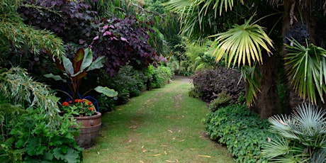 Open Garden: Tropical Extravaganza