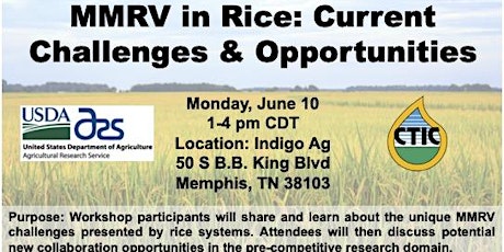 MMRV in Rice: Current Challenges & Opportunities