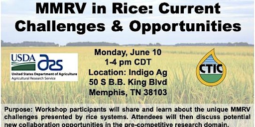 MMRV in Rice: Current Challenges & Opportunities primary image