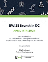 BWISE DC Networking Brunch primary image