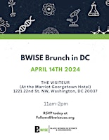 Immagine principale di BWISE DC Networking Brunch 