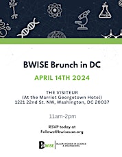 BWISE DC Networking Brunch