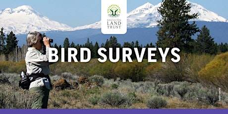 Imagem principal do evento Bird Survey Site Orientation, Willow Springs Preserve
