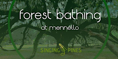 Forest Bathing at Mennello primary image
