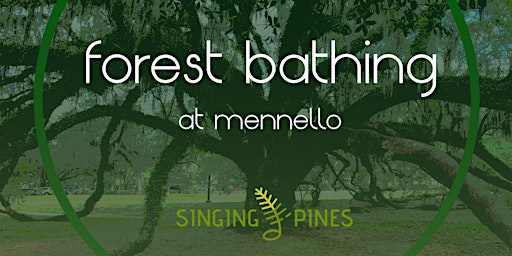 Imagem principal do evento Forest Bathing at Mennello