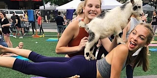 Hauptbild für Goat Yoga Houston At Little Woodrows Webster Saturday April 13th 10AM