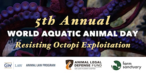 2024 World Aquatic Animal Day: Resisting Octopi Exploitation  primärbild