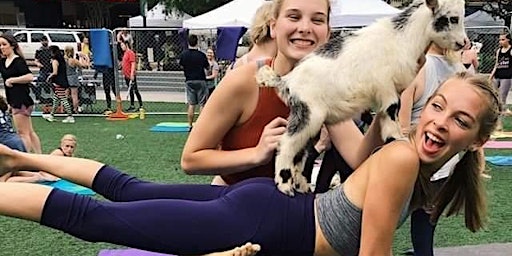 Primaire afbeelding van Goat Yoga Houston At Little Woodrows Webster Saturday April 13th, 11AM