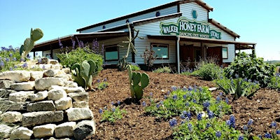 Bee to Bottle Tour at Walker Honey Farm primary image