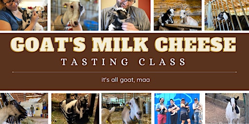 Imagem principal do evento Goat's Milk Cheeses