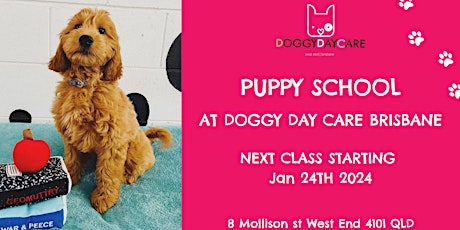 Puppy School with Doggy Day Care Brisbane