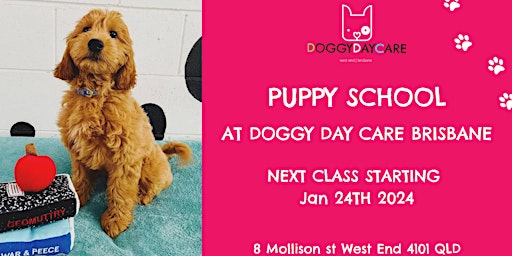 Image principale de Puppy School with Doggy Day Care Brisbane