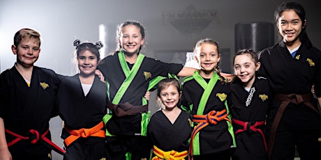 Kids Martial Arts Class Ages 8-12