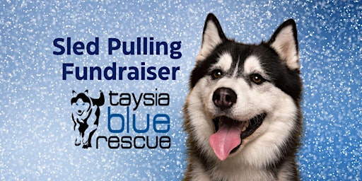 Immagine principale di Sled Pulling Fundraiser for Taysia Blue Rescue 