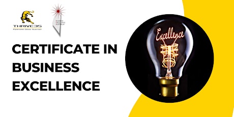 Certificate in Business Excellence - Virtual