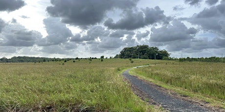 ClimateWatch Trail Guided Walk - Doonan Creek Environmental Reserve