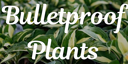 Primaire afbeelding van Bulletproof Plants: High Impact, Low Maintenance