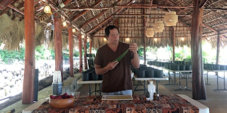 (Zoom) Lāʻau Lapaʻau Workshop