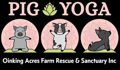 Pig Yoga primary image