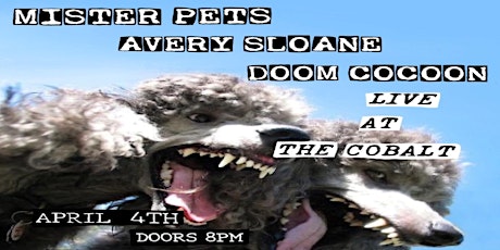 MISTER PETS / AVERY SLOANE / DOOM COCOON