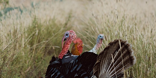 Image principale de WV Eastern Panhandle's - First Youth Turkey Hunting Competition