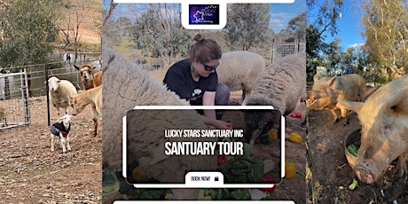 Sanctuary Tour primary image
