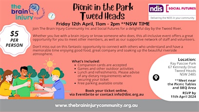 TBIC and Social Futures Picnic in the Park - Tweed Heads