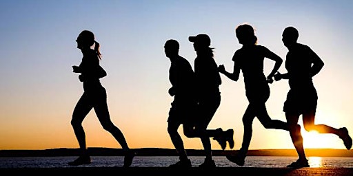 Primaire afbeelding van The Resilient Runner Workshop: Navigating Stress Fractures in Runners