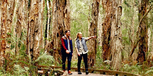 Imagen principal de NaturallyGC- Coombabah Walking in the Wetlands