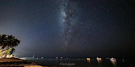 Immagine principale di Atelier photo/vidéo nocturne au Carbet 