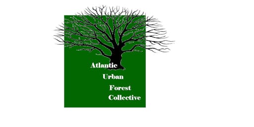 Image result for atlantic urban forest collaborative