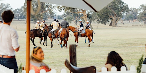 Mount William Station Polo Tournament 2024 primary image