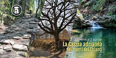 La Cassia adrianea, nei monti del Chianti