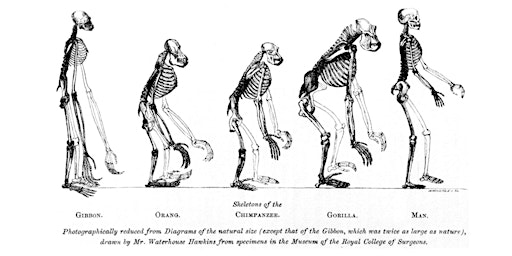 Imagem principal do evento Claves de la evolución de la humanidad