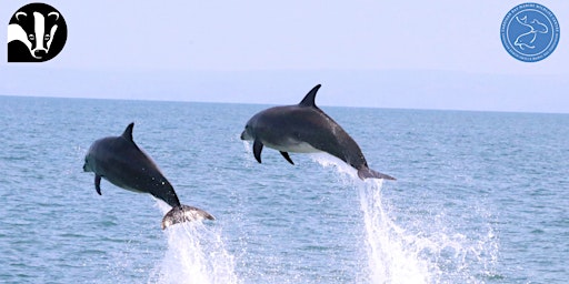 Primaire afbeelding van Breakfast with a Bottlenose